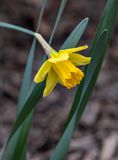 One more sign of spring