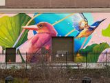Mural by Red Swan up close and personal