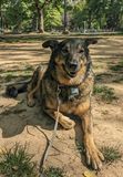 Queen of the park