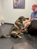 Can we please go home now??