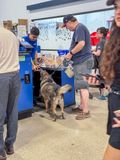 Making friends at PetSmart, too
