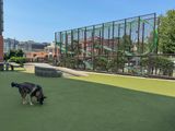 Dog parks are example of anti-family culture: Project 2025 architect 