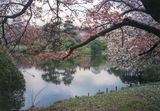 Shinjuku Gyo-en