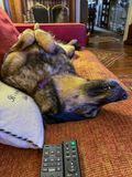 Keeping an eye on the TV remote