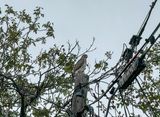 Surprise visitor