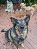 Gimme more of those new treats!