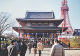 Zojoji Temple, Tokyo