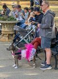 Ballerina, Howl-o-Ween costume contest