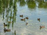 Just another day at Constitution Gardens