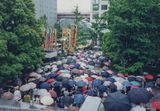 The popularity of sumo