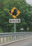 Watch out for tanuki, Shiga Prefecture
