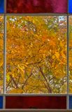 Through the looking glass
