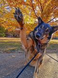 High five