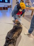 Queenie makes friends with the Apple staff