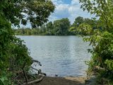 The birdless bird sanctuary