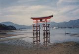 Great Torii Gate, Miyajima