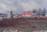 Dairy farm, Hokkaido