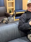 Maybe the vet wont see me back here