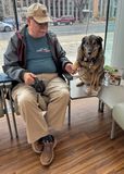 Table dog