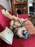 Total relaxation