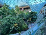 The Orchard, Hamad Intl Airport, Doha, Qatar