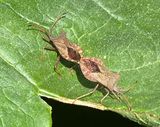 IMG_8912.jpeg