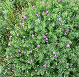IMG_9191.jpeg