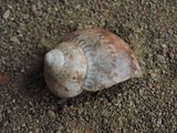 DSCN5467.JPG