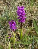 IMG_0446.jpeg