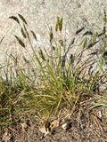 IMG_0549.jpeg