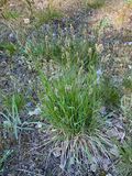 IMG_0547.jpeg