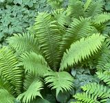 IMG_0647.jpeg