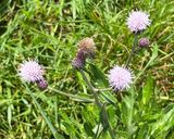 IMG_1834.jpeg