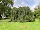 IMG_1859.jpeg