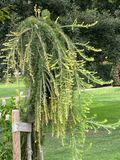 IMG_1858.jpeg