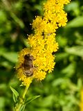 IMG_1909.jpeg