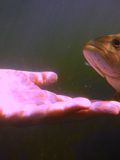 DSCF5459.JPG