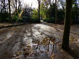 Le Jardin du Luxembourg. 