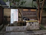 Kyoto; inside the Sugawara-in Tenmangu-jinja Shrine.