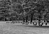 Kyoto; the Imperial Palace Garden. 