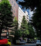 My hotel: the Kadoya; near of the Shinjuku station, not expensive and nice. 