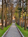 The Pre Lachaise cemetery.