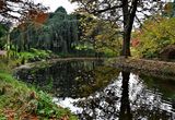 At the Arboretum of Chtenay Malabry (2024). 