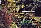 Claude Monets house at Giverny. 