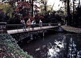 Garden of the Chateau de Chantilly. 