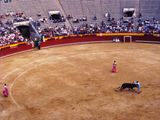 Valencia: bullfighting.