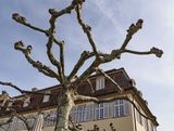 The Wittenberg Palace in Stuttgart. 