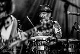 Gresiblues 23-0010167-1.jpg