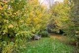 Autumn imby