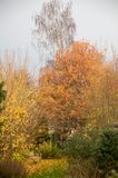 Autumn imby